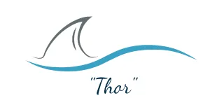 ThorService logo