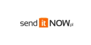 Send It Now logo